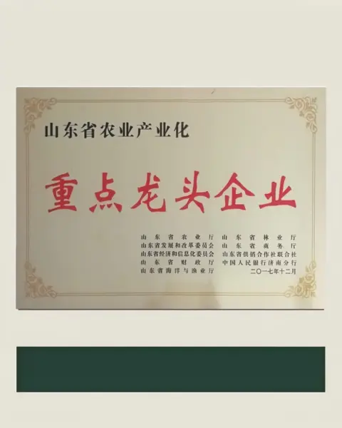 重点龙头企业